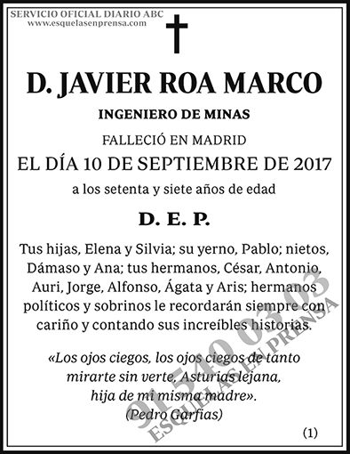 Javier Roa Marco